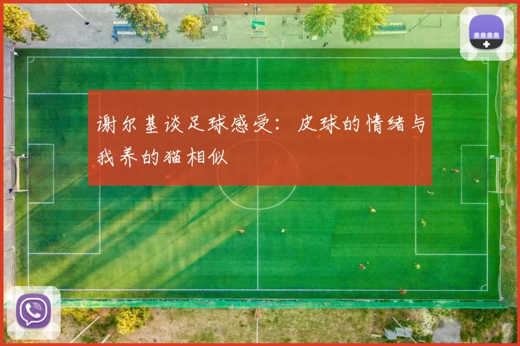 谢尔基谈足球感受：皮球的情绪与我养的猫相似
