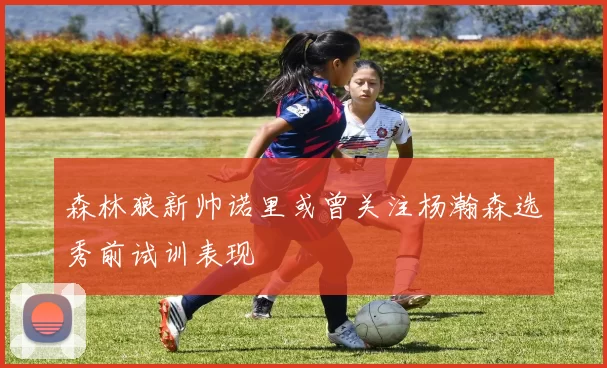 森林狼新帅诺里或曾关注杨瀚森选秀前试训表现